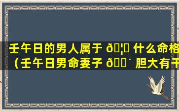 壬午日的男人属于 🦈 什么命格（壬午日男命妻子 🐴 胆大有干劲）